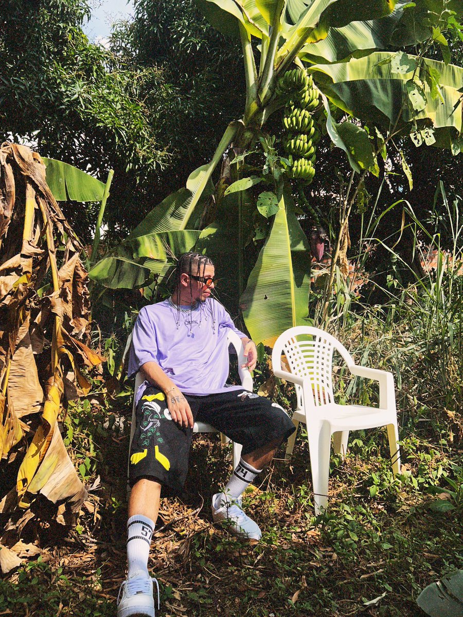 Slay Fox tweet media