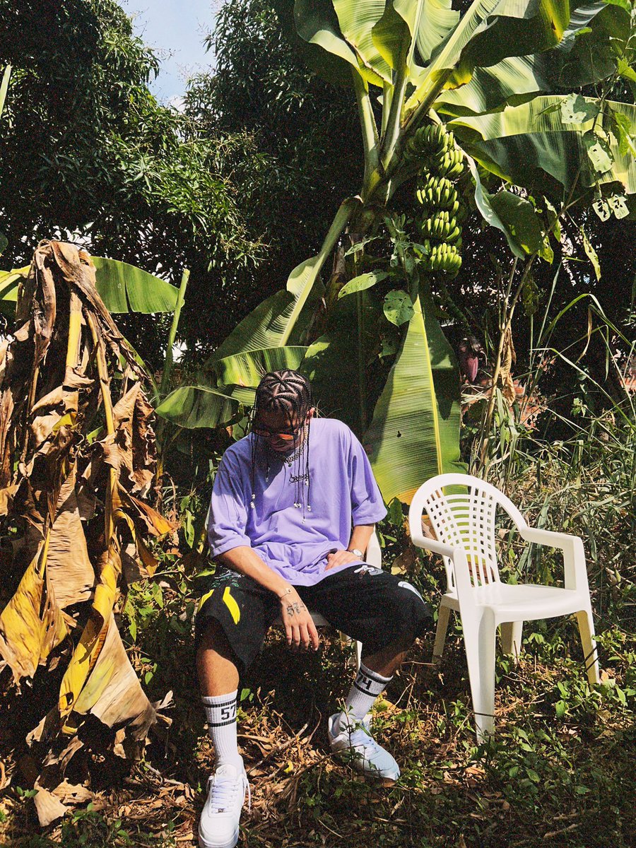 Slay Fox tweet media