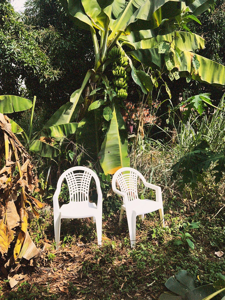 Slay Fox tweet media