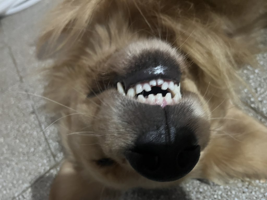delfitorchee's tweet photo. Fotoooooooo😁 https://t.co/7lLIMgw3cM