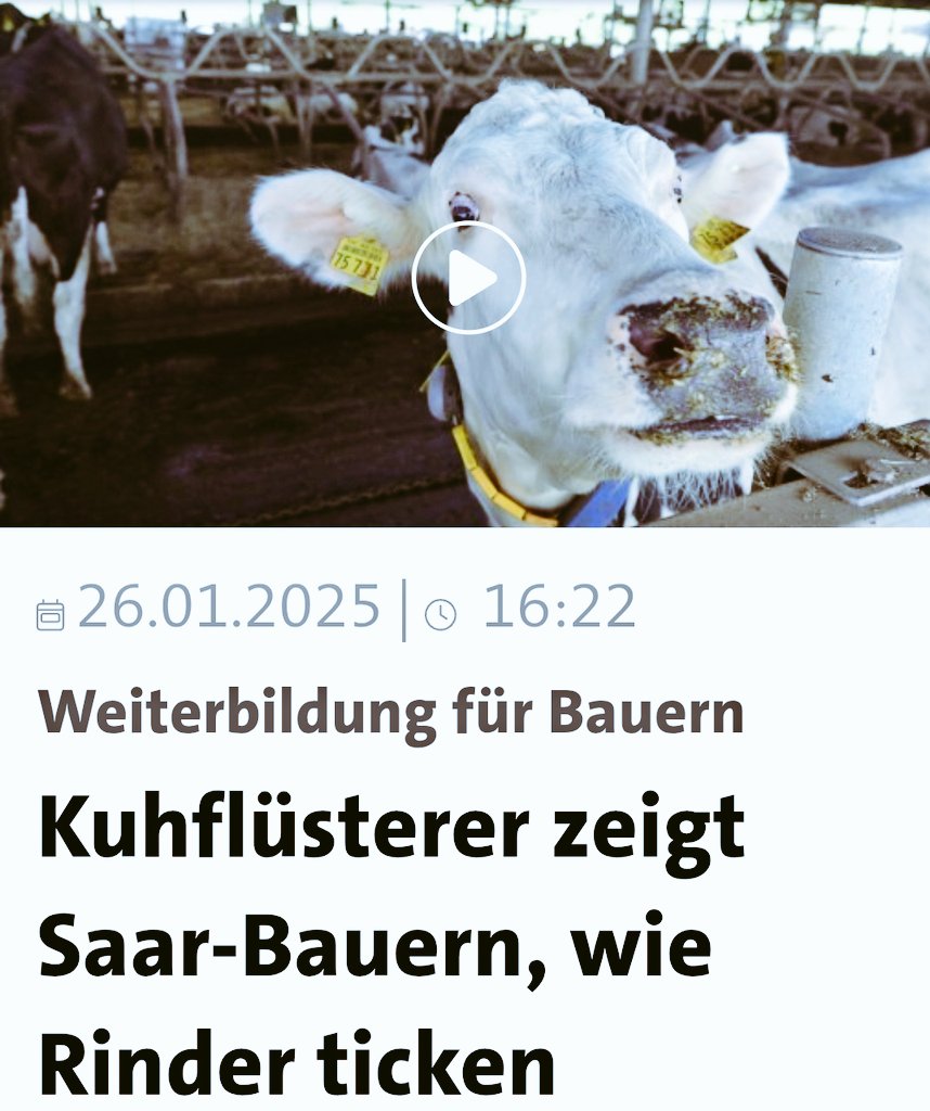 Endlich mal ein Job wo es vorteilhaft ist such als Kuh zu identifizieren