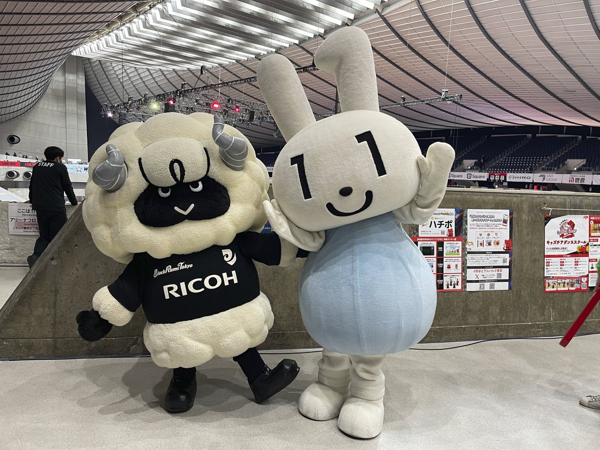 RICOH_BlackRams's tweet photo. 【TOKYO UNITE】
2月2日(日)に #国立代々木競技場第一体育館 にて開催された『#アルバルク東京 vs #琉球ゴールデンキングス』に、#TOKYOUNITE コラボ企画として #ラムまる が出演いたしました🐏

場内にチームブースを出店させていただき、ラグビー体験会を実施🏉
#ルーク、#マイナちゃん、#イータ君、社会人女子ラクロスチーム #NeOLACROSSCLUB の皆さんといっしょに試合を盛り上げました🏀✨

🔗https://t.co/JCvFKA89Zn

#BlackRamsTokyo #ブラックラムズ東京
#LeagueOne #リーグワン #Reboot