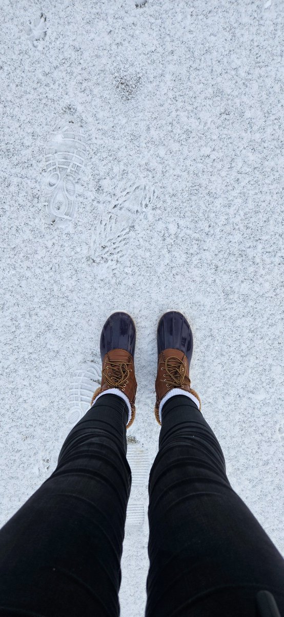 GoodDayMonkey tweet media