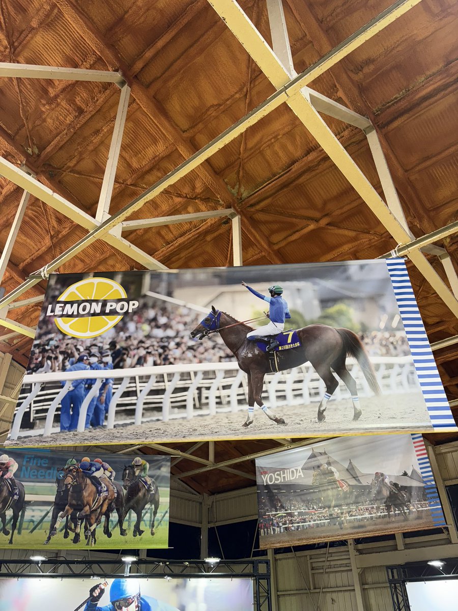 レモンポップに会いに北海道へ🍋

良いお父さんになれますように🏇