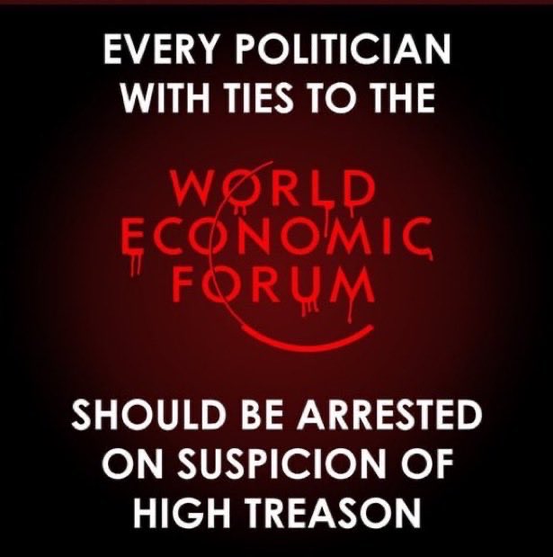 Anti WEF tweet media