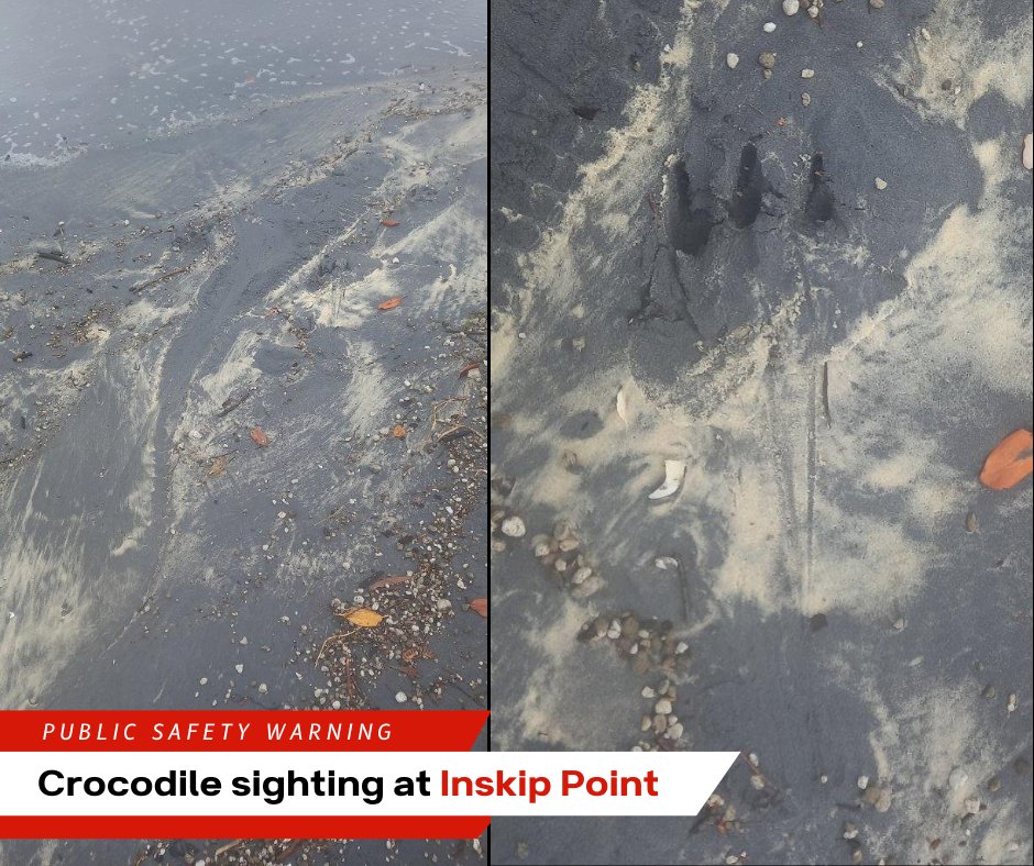 Queensland Environment tweet media