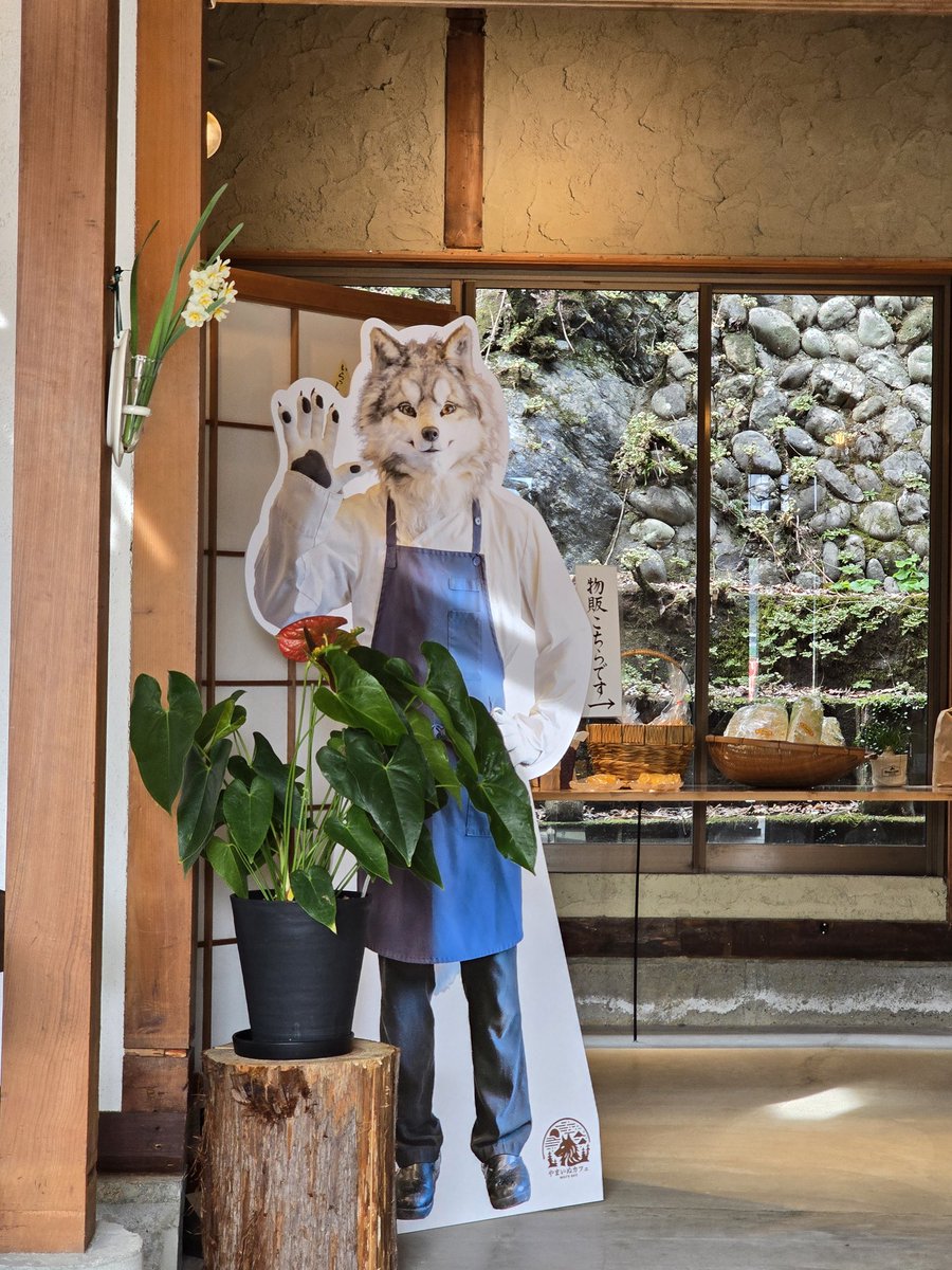 やまいぬカフェcafe 🥰