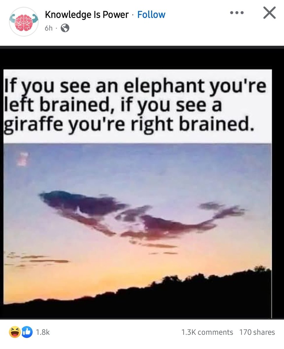 ohnamu_'s tweet photo. If you see a whale you're borafied. 💜 https://t.co/LpxtlrIYZK