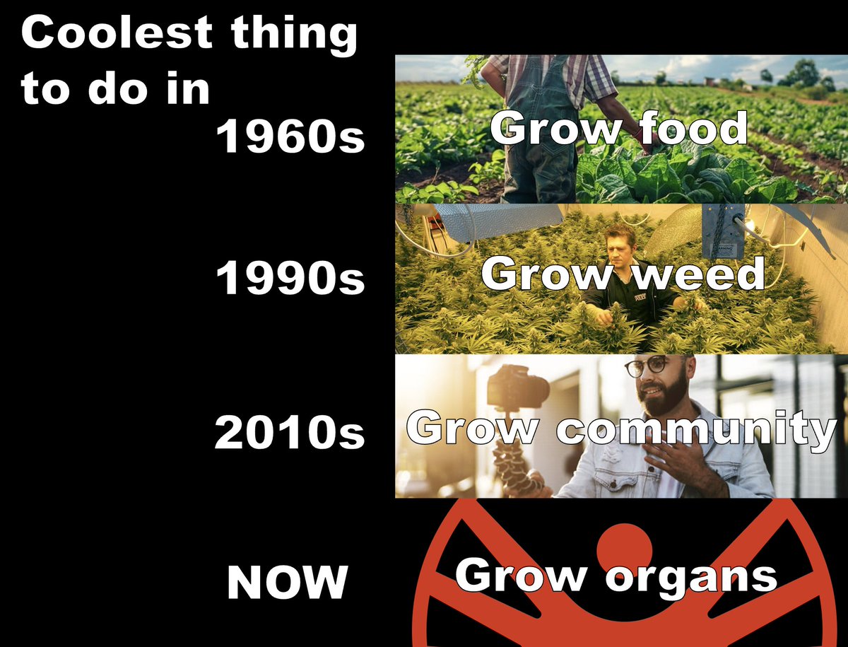 memortalism's tweet image. The winner of the meme contest is Alexey Strygin (@strygah), he receives $150 from this week's sponsor - HydraDAO (@daohydra), congratulations!
The rest of the worthy contenders will be listed below 👇