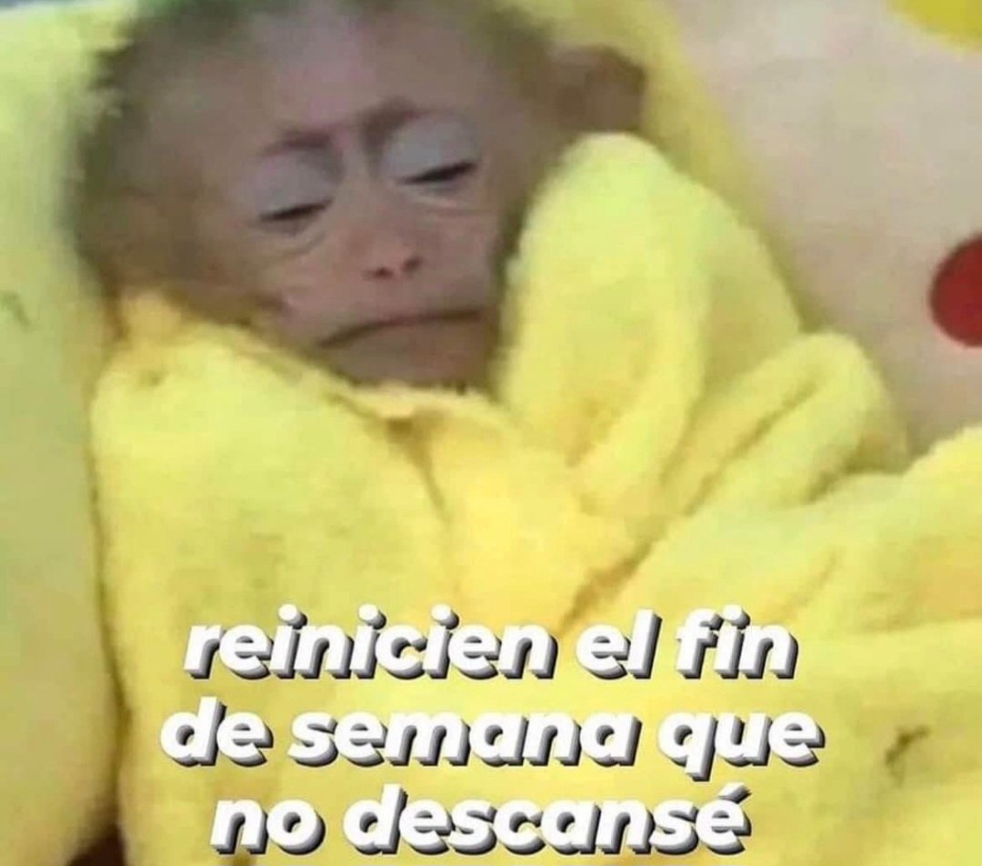 En_jupiter_'s tweet image. 