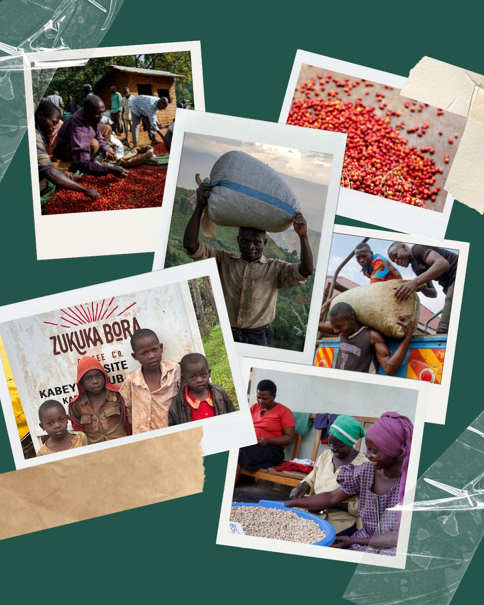 We’re proud to partner with @zukukacoffee—a project making a difference for coffee farmers on Mt Elgon, Uganda. 🌍☕ Their impact goes beyond coffee, supporting clean water, education &amp; more.

Find out more: zukuka.coffee

#FreedomThroughCoffee