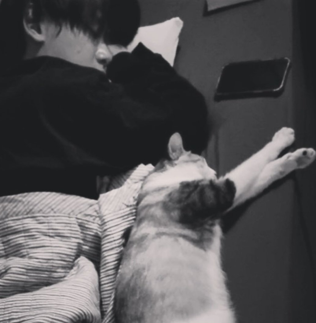 haliihal's tweet photo. hidup kaloga lee minho ya cha woomin https://t.co/WarzT8842l