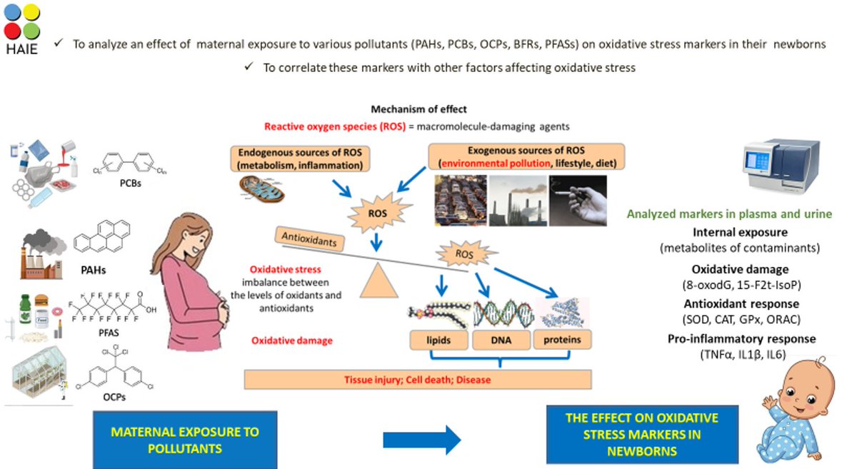 IIC Řež-Prague (@iic_rez) on Twitter photo "The impact of environmental pollution to oxidative stress in mothers/newborns" (Dr. A. Ambrož from IEM CAS) is the topic of the 42nd NARECOM
Join 05/02 at 2:30 p.m.: cesnet.zoom.us/j/93563225963
Info:nanoenvicz.cz/en/news/520539…
<a href="/CzNano/">NanoEnviCz</a> #iic_rez #pollution #meeting #medicine #nanoenvi "The impact of environmental pollution to oxidative stress in mothers/newborns" (Dr. A. Ambrož from IEM CAS) is the topic of the 42nd NARECOM
Join 05/02 at 2:30 p.m.: cesnet.zoom.us/j/93563225963
Info:nanoenvicz.cz/en/news/520539…
<a href="/CzNano/">NanoEnviCz</a> #iic_rez #pollution #meeting #medicine #nanoenvi