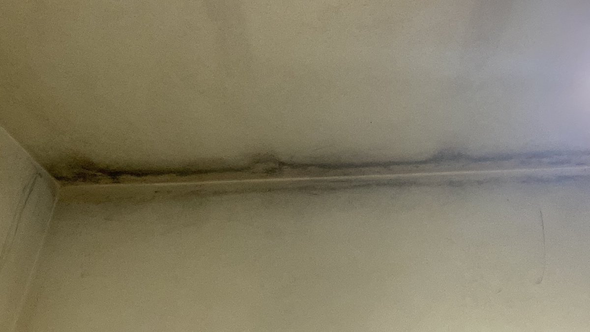 Claudia___rc's tweet photo. Y otra habitación. Se abren las ventanas casi todos los días (salvo cuando hay riesgo de quedarse pollito de frio) y cuando no, está puesto un deshumidificador. https://t.co/cTosFZB7Ol