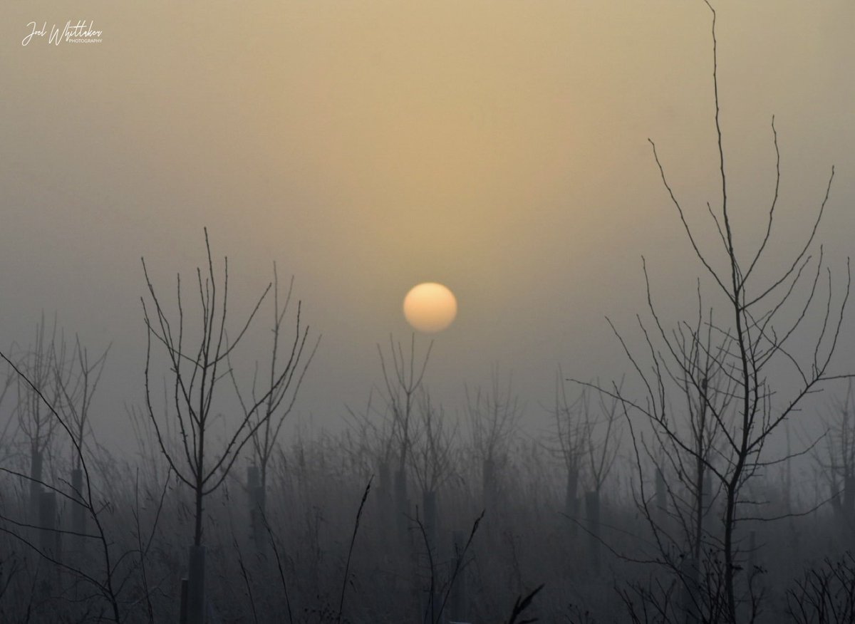 Joelsuperhoops's tweet image. Foggy Sunrise #burnhamoncrouch