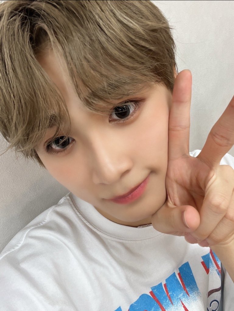 𝑆𝑎 🐨⋆꙳ tweet media