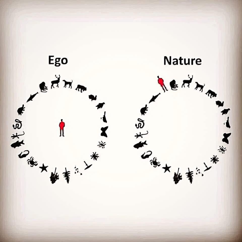 🧬Maxpein🧬 tweet media