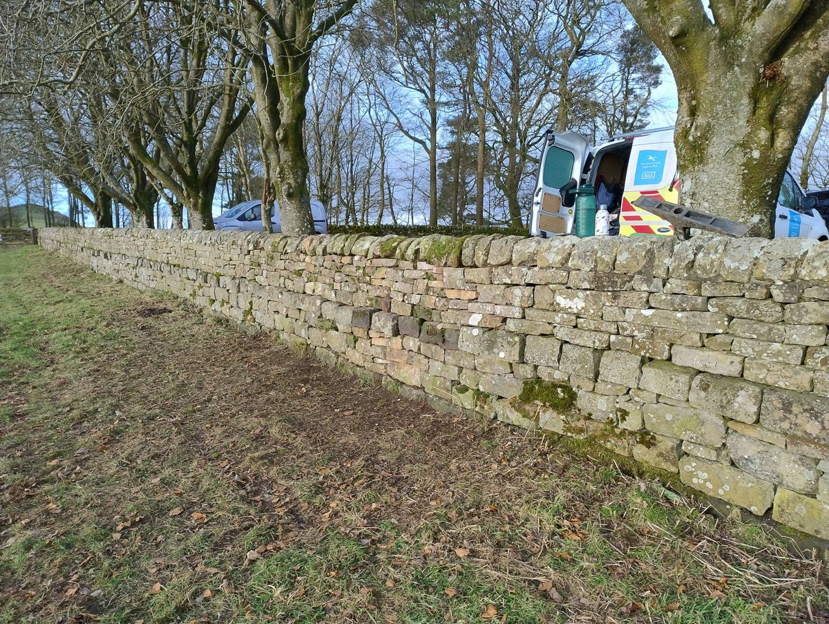 The rangers do more than just drystone walling, honestly! But we couldn't not share this section of wall we have repaired at the Steel Rigg car park near Hadrian's Wall. After damage from a vehicle caused a section to fall, we arranged the stones before building it back up again.