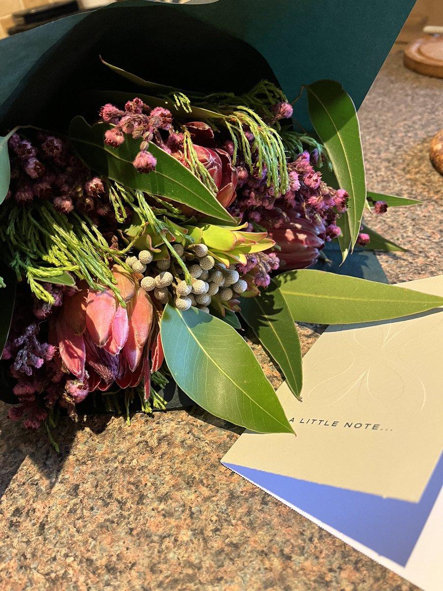 Hilary McGowan🇺🇦 tweet media