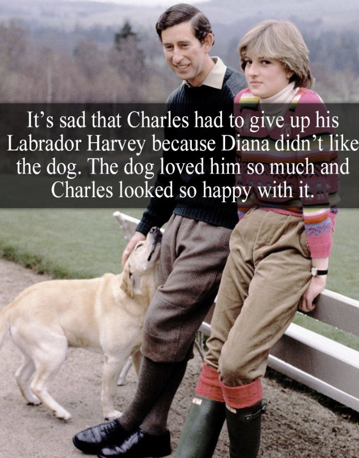 g3mmava1entin3's tweet photo. The Then Prince Charles and his Labrador Harvey ❤️❤️
Harvey was Charles’s faithful companion who was with him before he married Diana. Unfortunately Harvey was given away because Diana thought he was too “Old and Smelly” He went to an aide instead.
#KingCharlesIII
#RoyalDogs https://t.co/yWuMvzg7xA