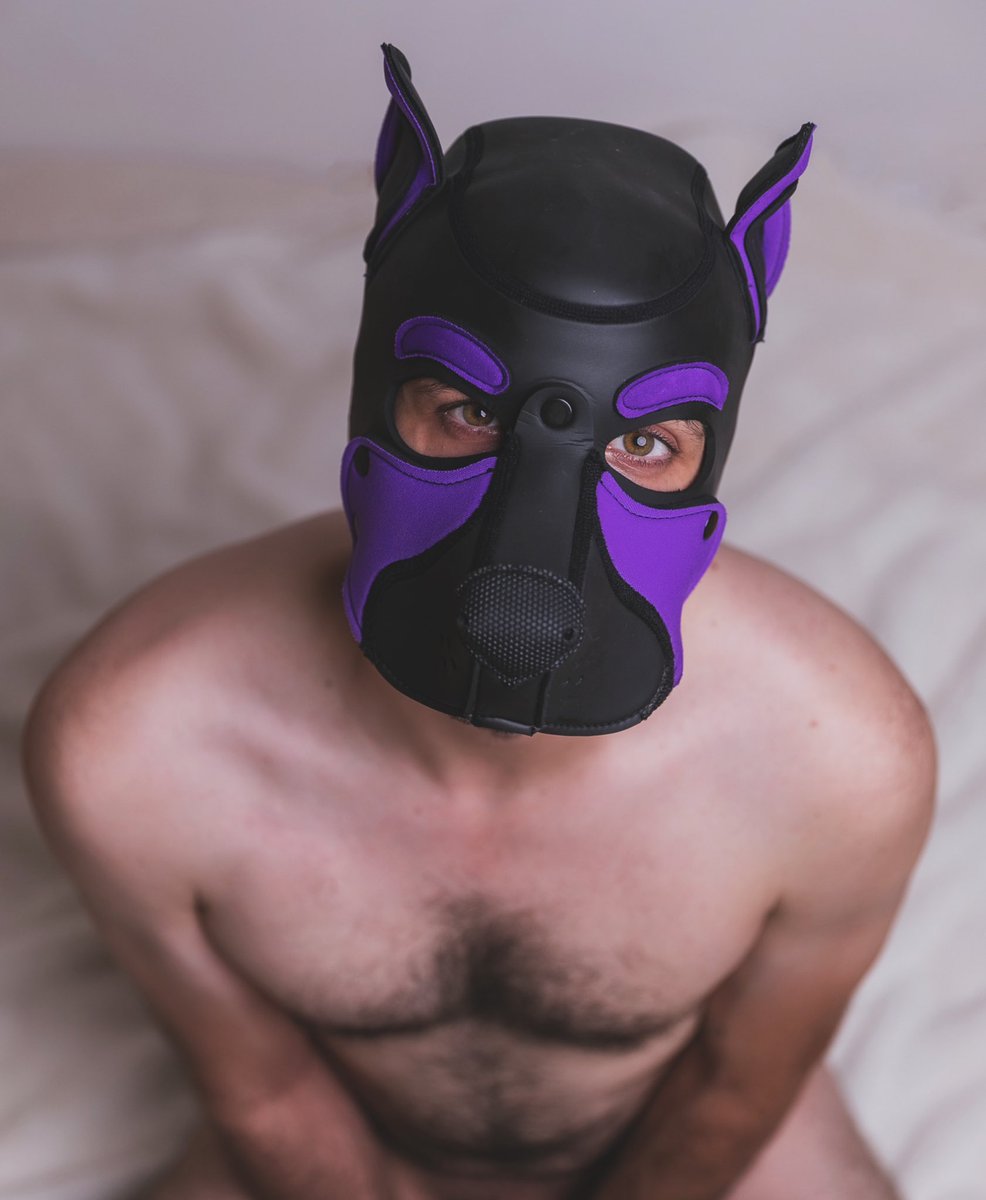 PupMurx's tweet photo. *dog noise*

#gaypup #humanpupplay #humanpup #humanpuppy #pupgear #puppyplaycommunity https://t.co/PuRiBYZ1gy