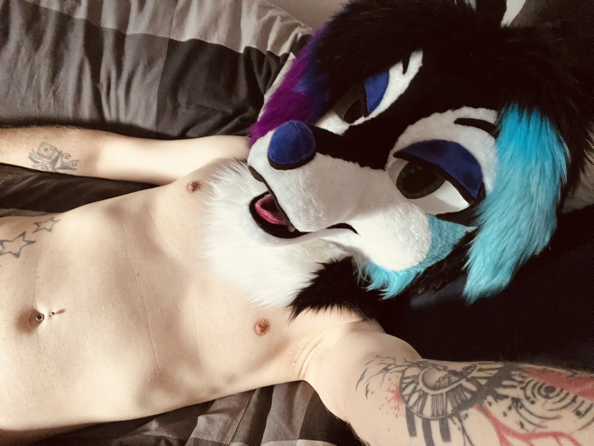 AskanTheHusky AD🔜NFC (@askanhusky_ad) on Twitter photo 