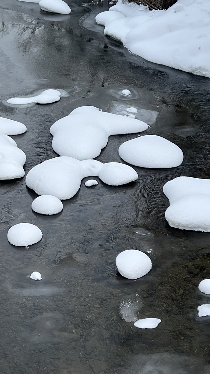 Small_o's tweet image. JOZANKEI