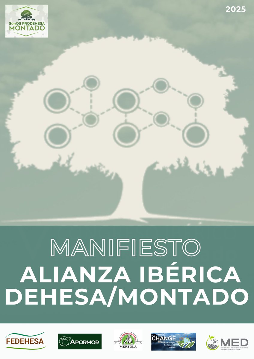 📢Manifiesto de la Alianza Ibérica Dehesa - Montado!

📃Recoge las conclusiones más relevantes del último congreso de la dehesa y el montado celebrado en Évora y marca el camino para presentar nuestras reivindicaciones ante la CE en abril

Léelo aquí:surl.li/pmftsa