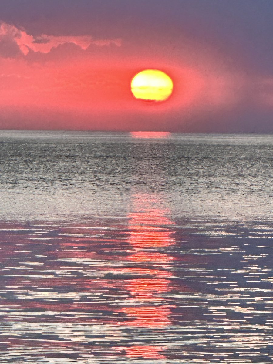 🦋🦋🦋🦋 tweet media