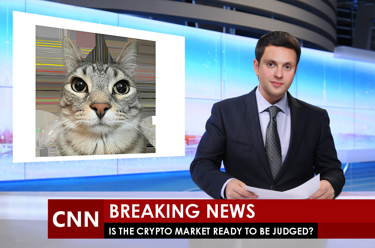 Zazu Cat | Fan Page (@zazufanpage) on Twitter photo 