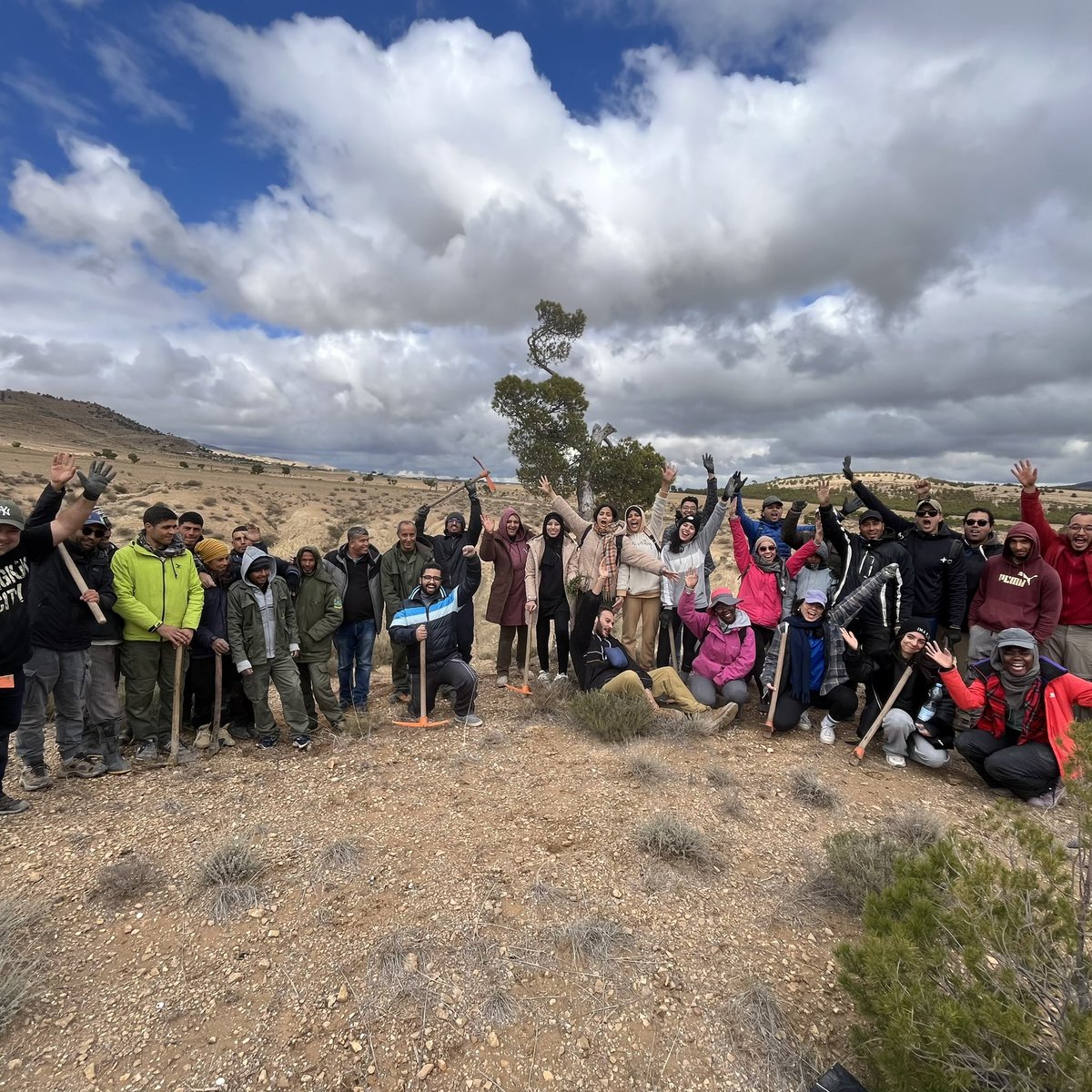 تم غراسة 4000 شجرة من السرول (Cyprès de Maktar  )  و بعض الصنوبريّات بالروحية في إطار برنامج مكافحة التصحّر.
كل الشكر ل Maibornwolff  على دعمهم المتواصل
كل الشكر للمتطوّعين و أعوان و إطارات إدارة الغابات بسليانة و خاصّة الدائرة الغابيّة بمكثر و الروحيّة  على دعمهم المتواصل.🌲