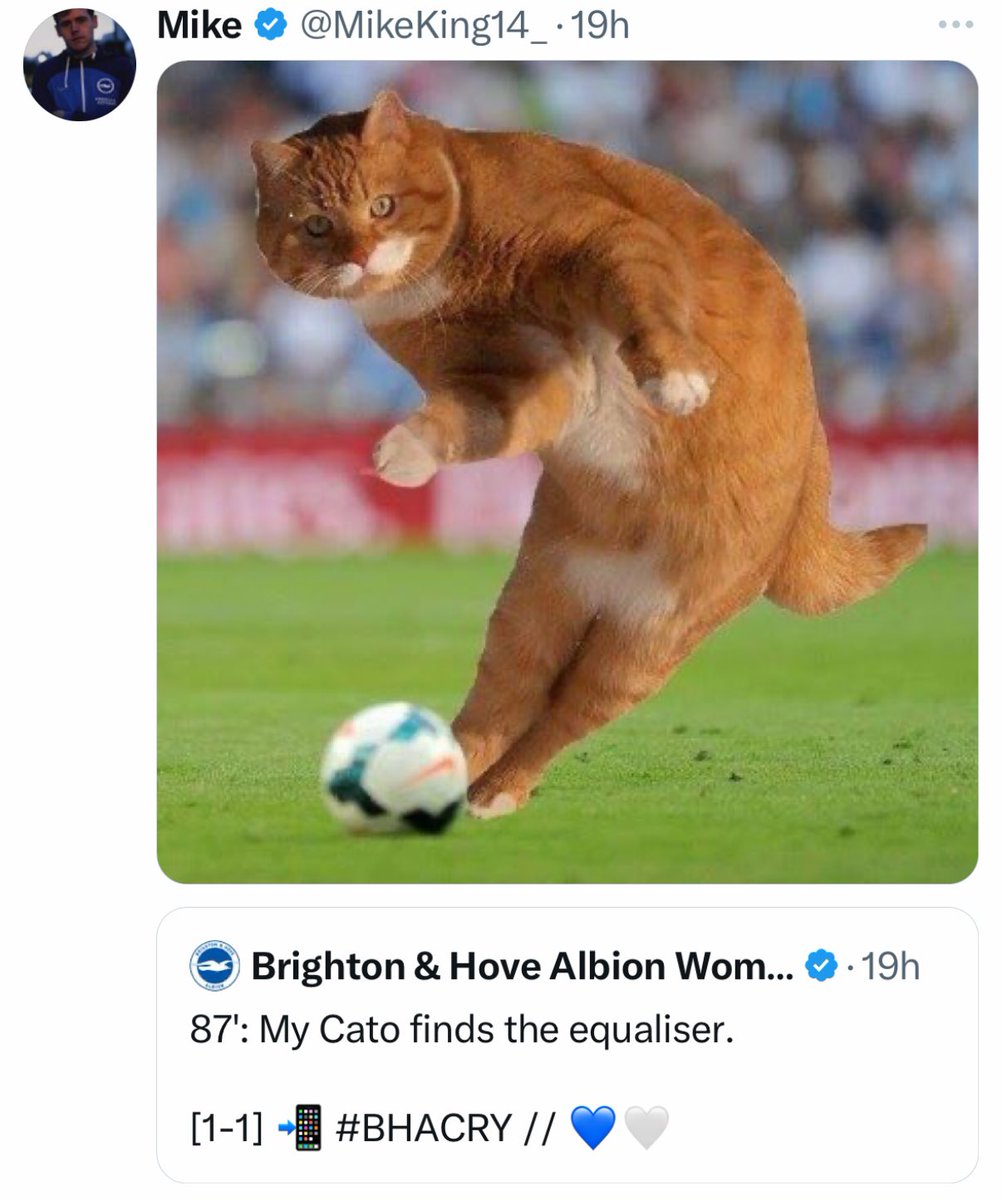Out Of Context Football (@nocontextfooty) on Twitter photo 