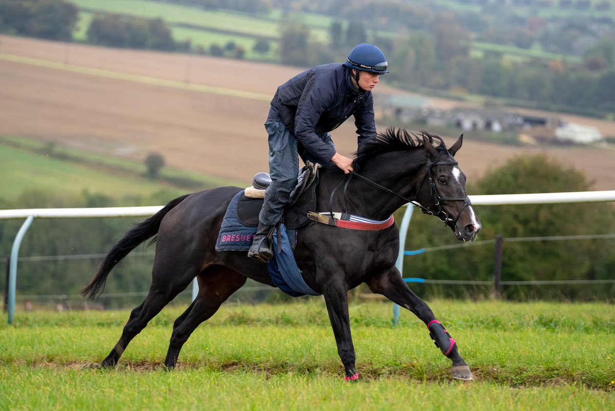 FOBRacing's tweet photo. Three @Southwell_Races runners today - Unleash The Beast (pictured), Heart Over Head and Whatsyourproblem
@JohnnyBurke2 rides all three #TeamFOB https://t.co/ARvni5byPG