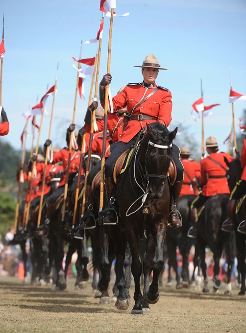 王立カナダ騎馬警察(Royal Canadian Mounted Police, Gendarmerie royale du Canada)の騎乗姿から得られる栄養。(普段はパトカーに乗っている) 
