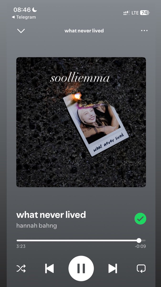 soolliemma's tweet photo. #StreamWNL #whatneverlived #hannahbahng 339 https://t.co/AxDzSArFjV