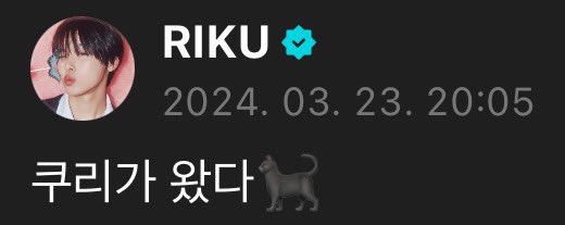 to4kuno's tweet photo. 리쿠가 위버스 오는 날 쿠리가 돌아왔다면서
죄송하다는 말 없이 행복한 모습으로만 돌아왔으면 조켓다 https://t.co/fOM5gyI2mU