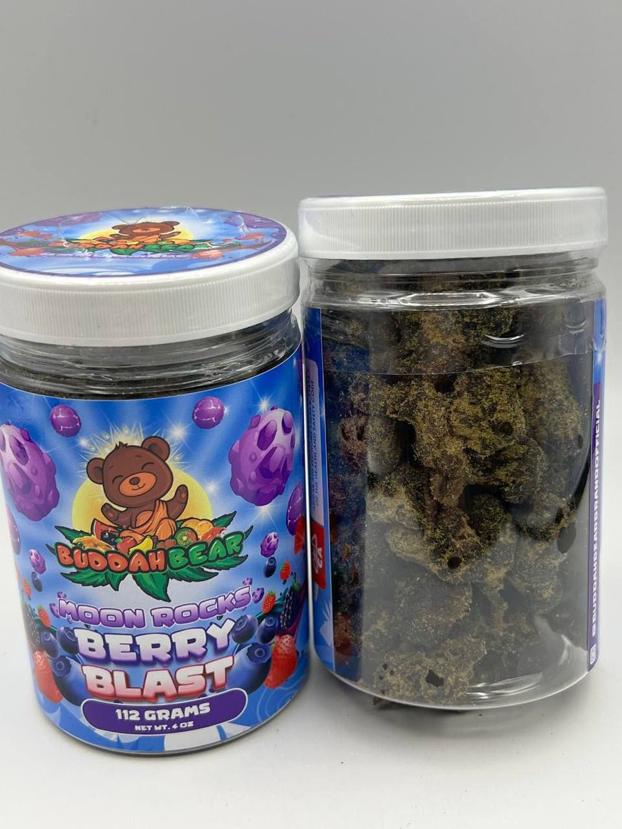 Buddah Bear Moon Rocks ⛽️🔥