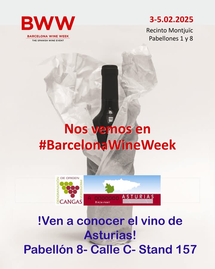 D.O.P. Cangas tweet media