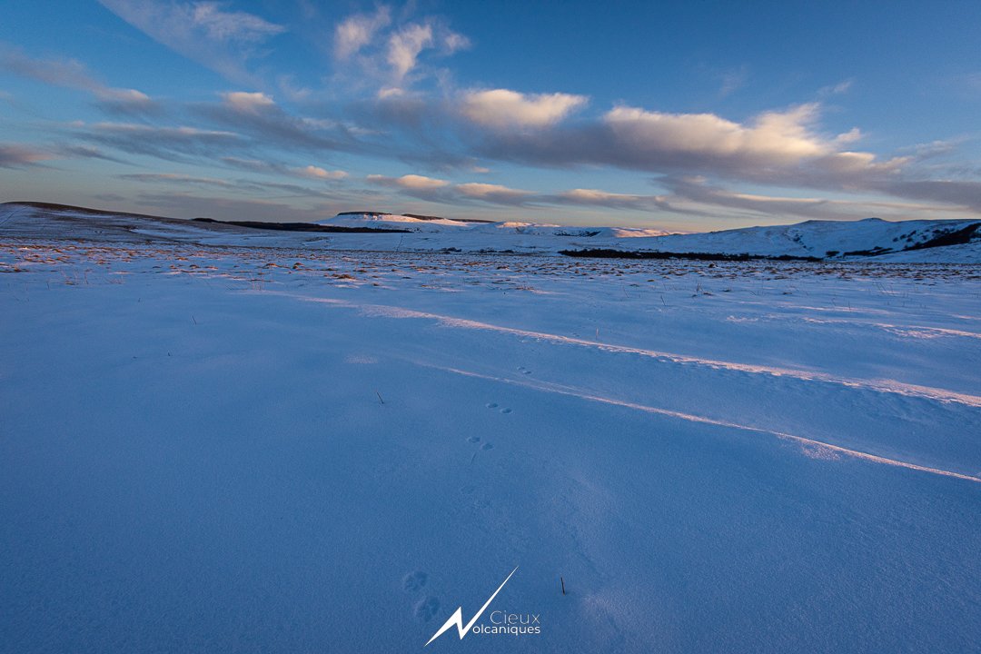 CieuxVolca's tweet image. Instants de contemplations sur les plateaux du Cézallier, hier après-midi.

Soleil, neige, glace, givre, solitude.

Décors exquis.