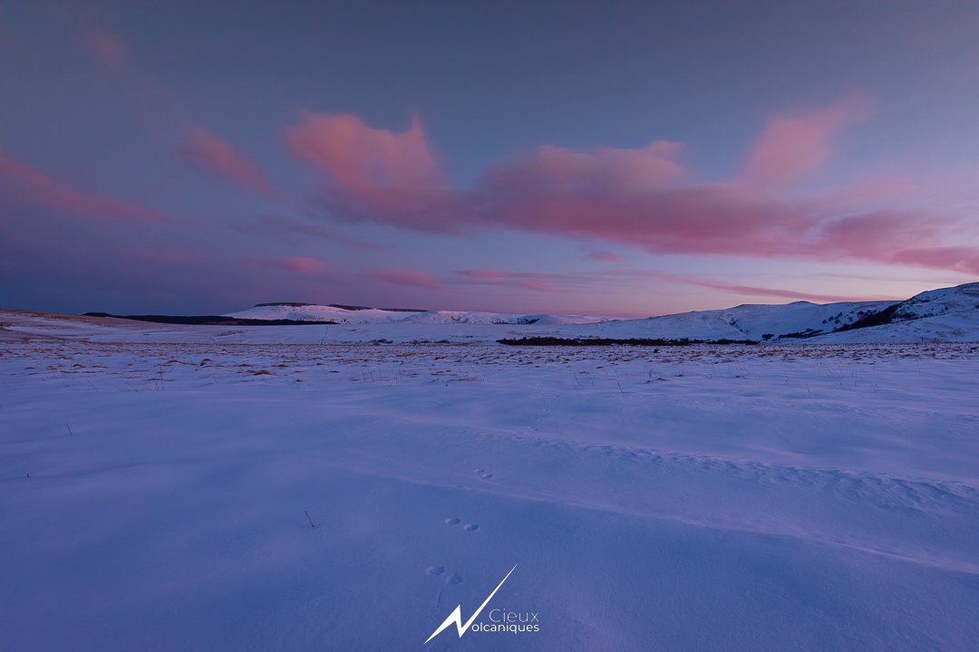 CieuxVolca's tweet image. Instants de contemplations sur les plateaux du Cézallier, hier après-midi.

Soleil, neige, glace, givre, solitude.

Décors exquis.