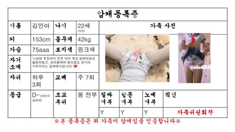 기저귀차는유급한민아❤️ tweet media