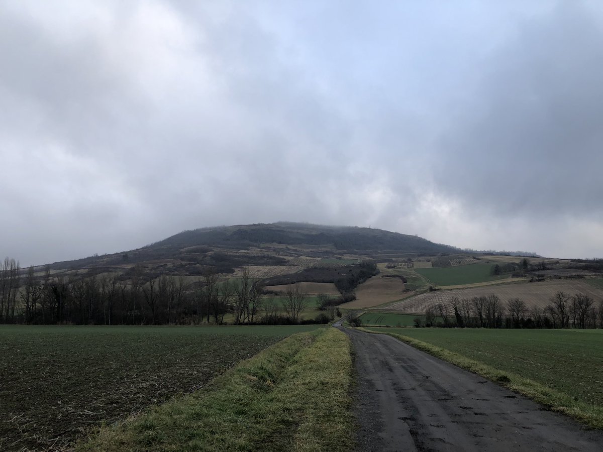ouserkaf63's tweet photo. Sortie du week-end 
#running #trail https://t.co/WMvJmmc1K6
