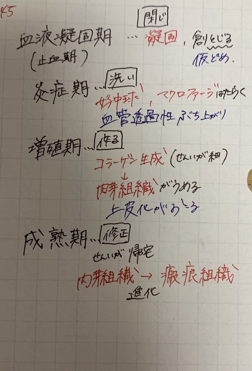 abubu_fz's tweet photo. 創傷の治癒過程は
103回→107回→111回→112回で出てます
でます114回
でも覚えられません覚えましょう https://t.co/fBGDjZkbqY