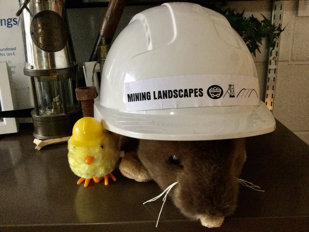 coal_legacies's tweet photo. Starting Monday with a plea for help. You’ve not seen much of #Rattus Carbonicus #MiningLandscapes’s little mascot, he has been doing his book learning now it’s field work. We have trawled the web but hard hats are either too small or too big -ideas? #coal #MiningHeritage https://t.co/i1eQ2laVSG