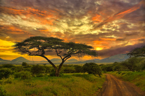 The month of love is here, let Glory Summit Tours and Travel turn your fantasy into reality by planning your getaway with your personal person. Explore the wild and make memories in love. #views #tourism #uniquelyyours #memories #ExploreUganda