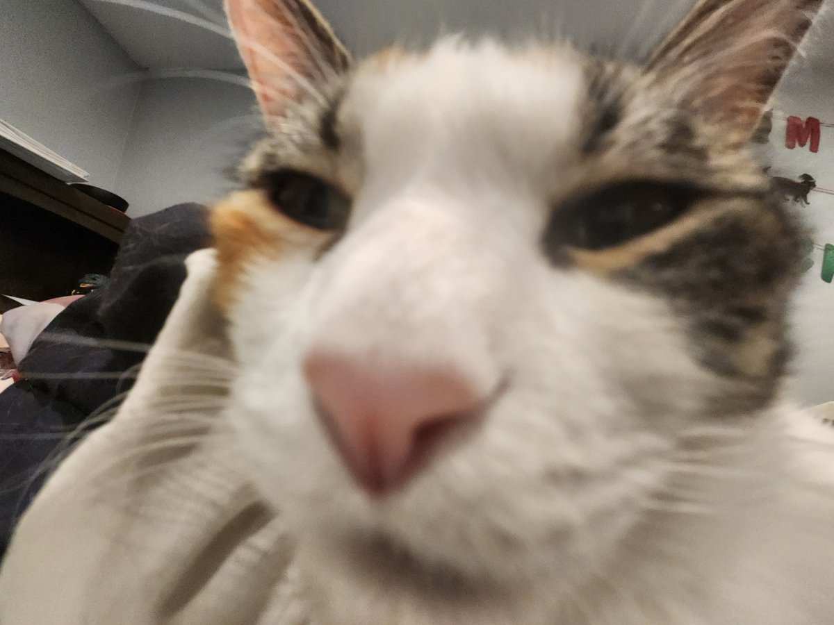 YepItsKalico's tweet image. Car head empty