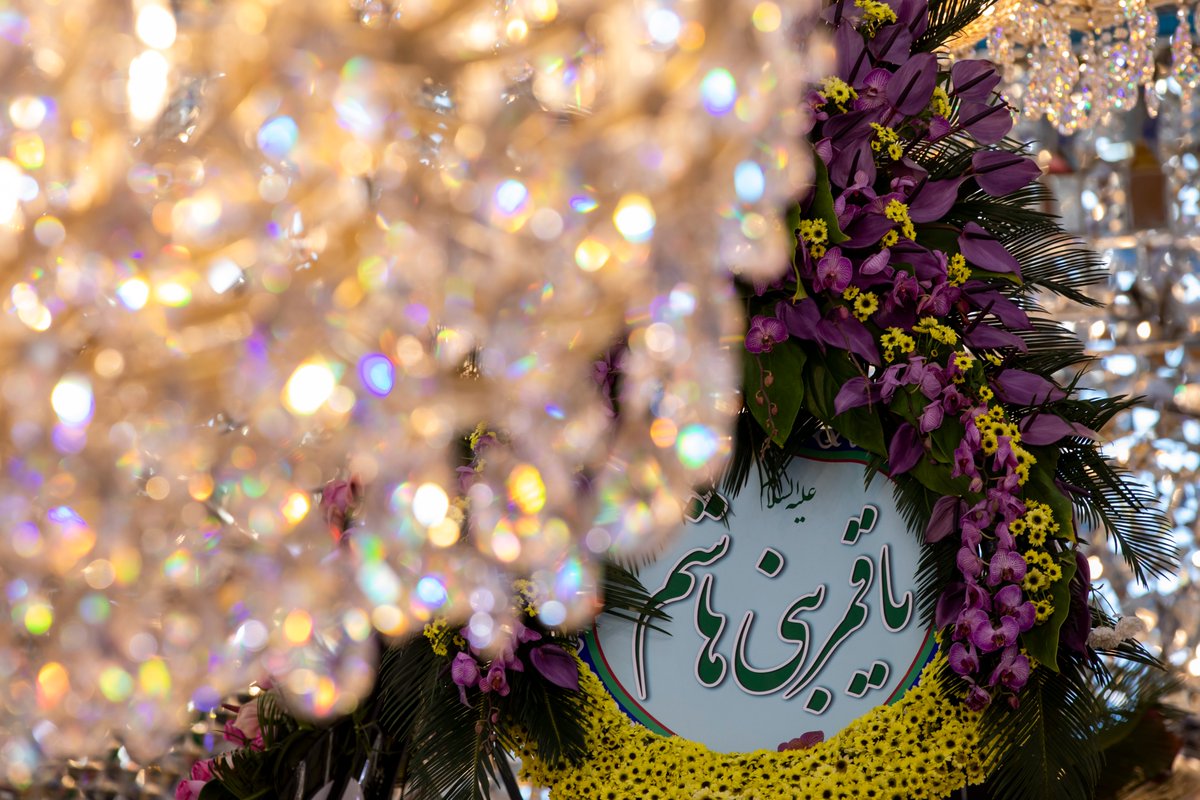 |آقای فرهادی| tweet media