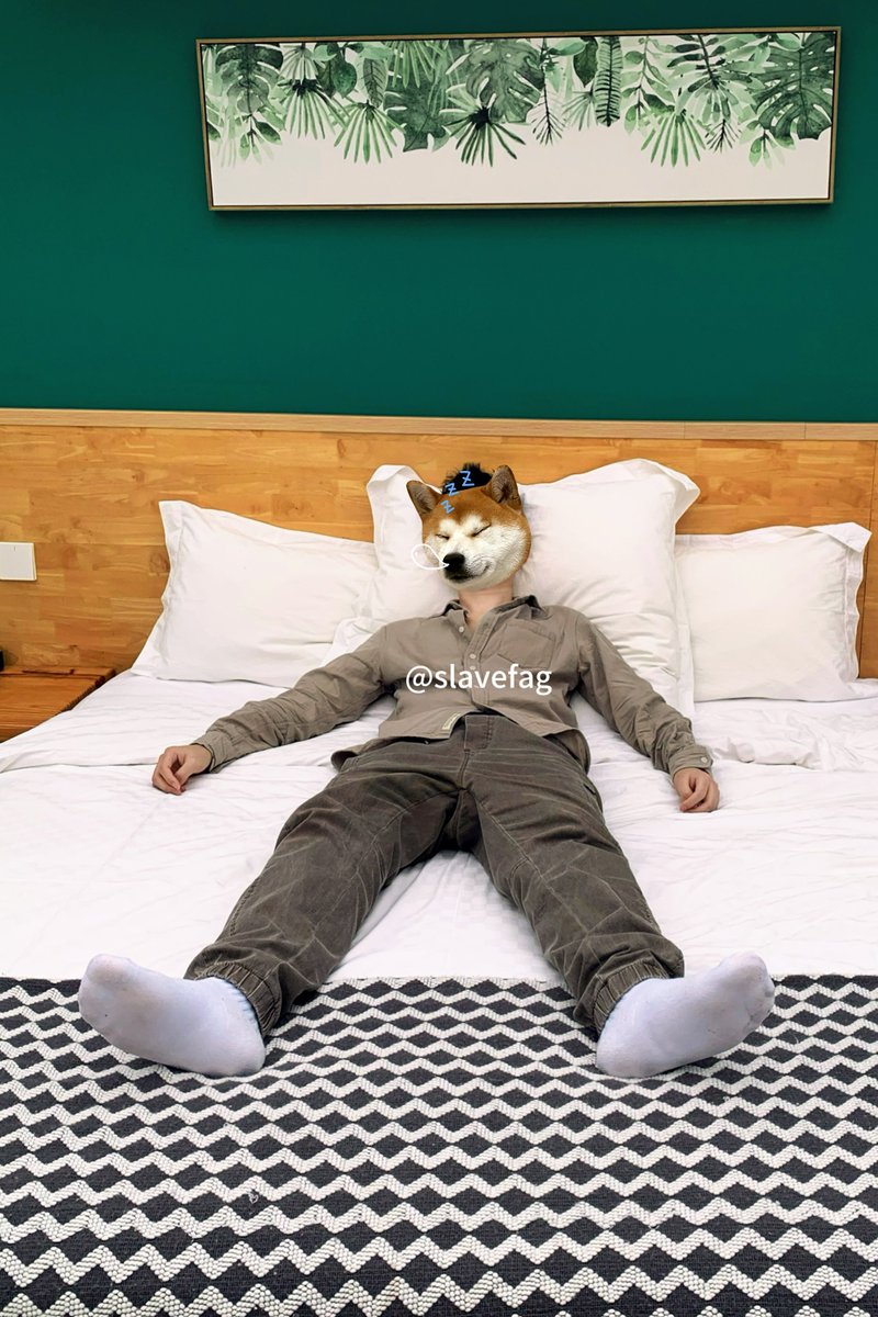 slavefag tweet media