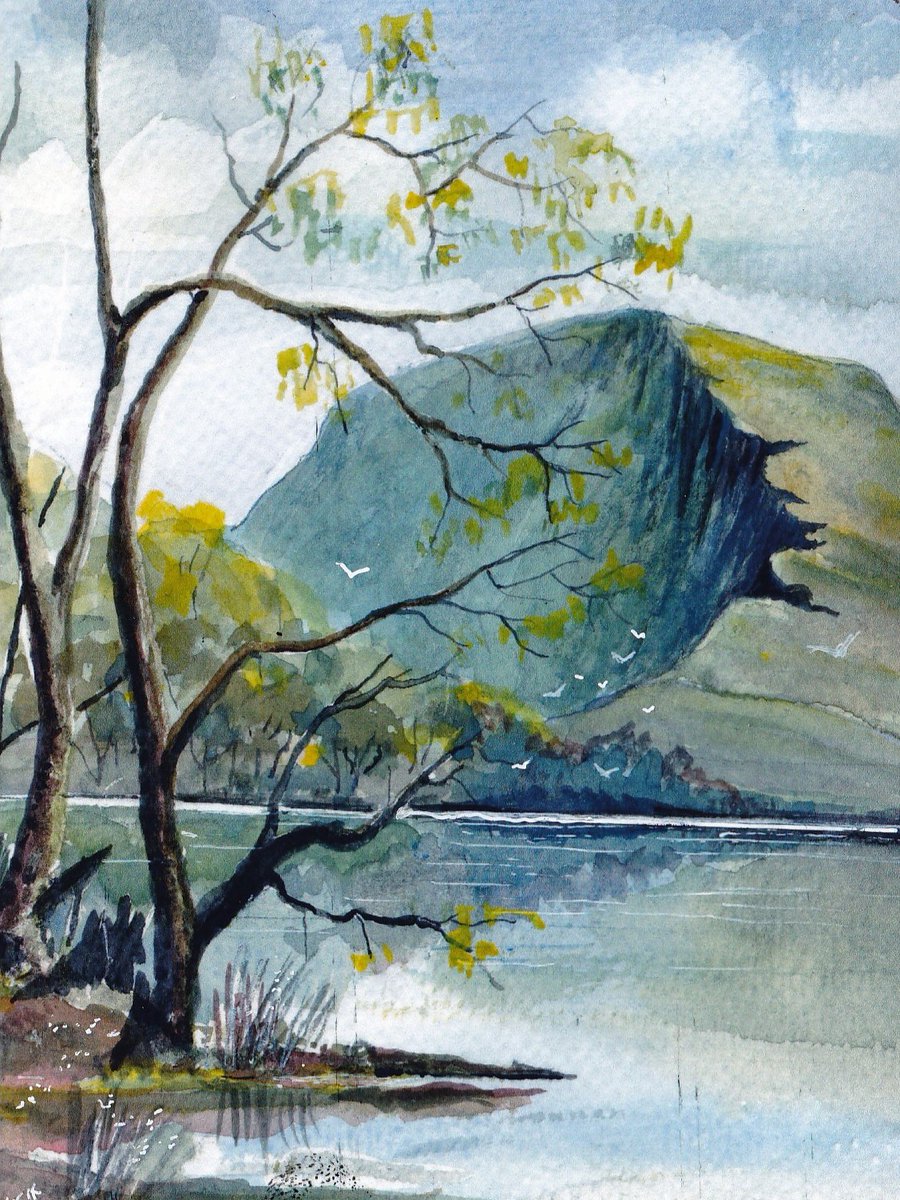 hullsaddler tweet media