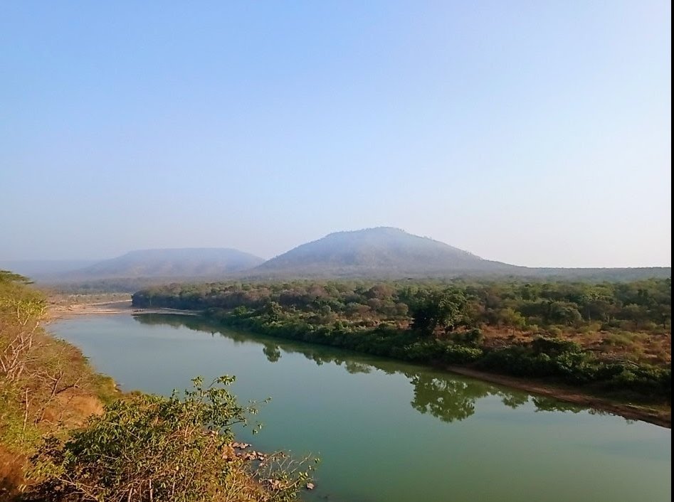 Legal Initiative for Forest and Environment tweet media